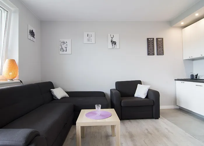 Kamienna Wisla, Sun & Snow Apartmán